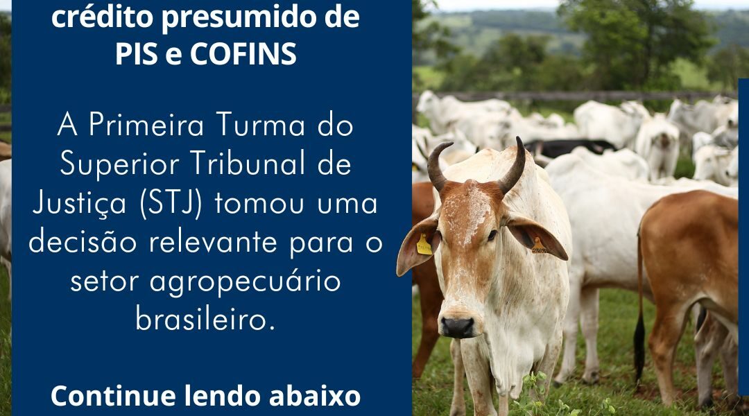 02_Postagens Junho - Advocacia (12)